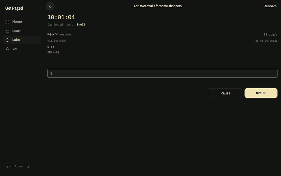 A real shell over the incident's files
